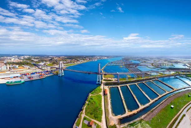Figueira da Foz in Coimbra, aerial view with Mondego river in Portugal